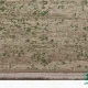 فرش کناره وینتیج 3050 کرم سبز