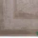 3131-5.webp فرش وینتیج 3131 کرم نسکافهای