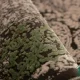 فرش کناره وینتیج 420 طوسی سبز