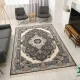 NOGHREI-4-7.webp فرش کلاسیک 7005 نقره ای طوسی