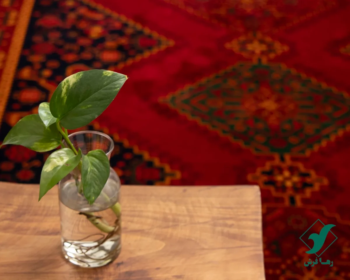 فرش کلاسیک 719 روناسی
