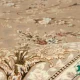 فرش کلاسیک شروین بژ